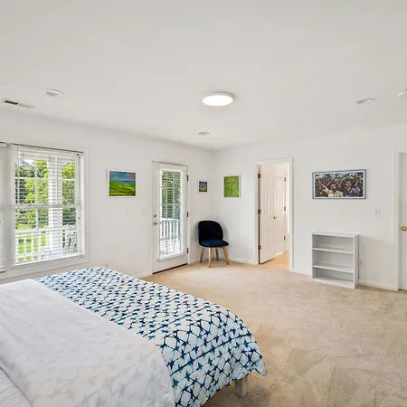 Belmont Oasis I Downtown Cville